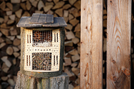 Insekten Haus