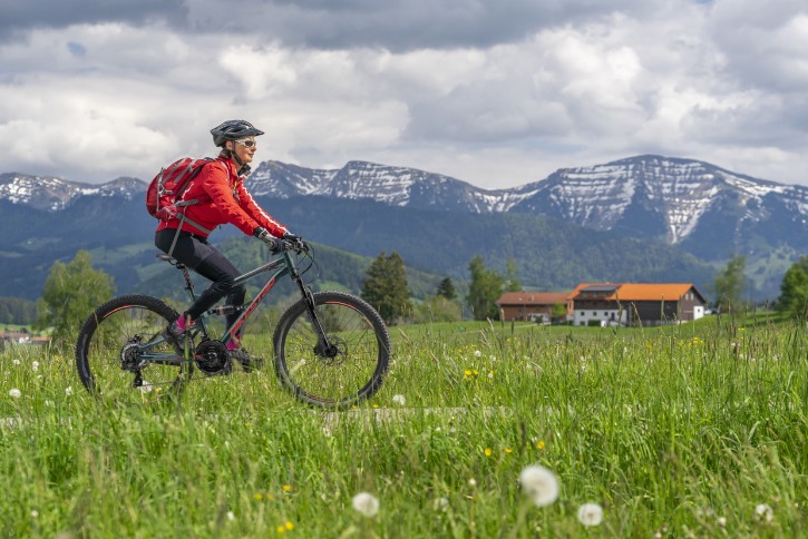 Montainbiker in grüner Wiese