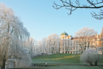 Celle Schloss